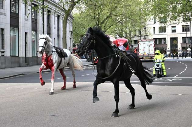 Varios heridos por caballos del Ejército que se escaparon en el centro de Londres