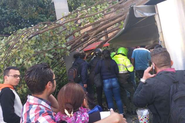 Tres lesionados deja caída de árbol en el norte de Bogotá 