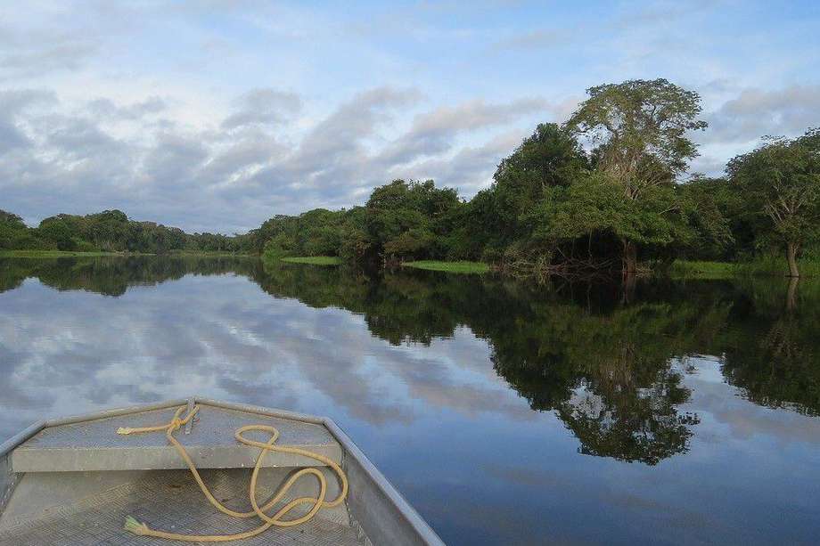 Bajo la figura de Reserva Forestal está amparada más del 90% de la Amazonia del país.