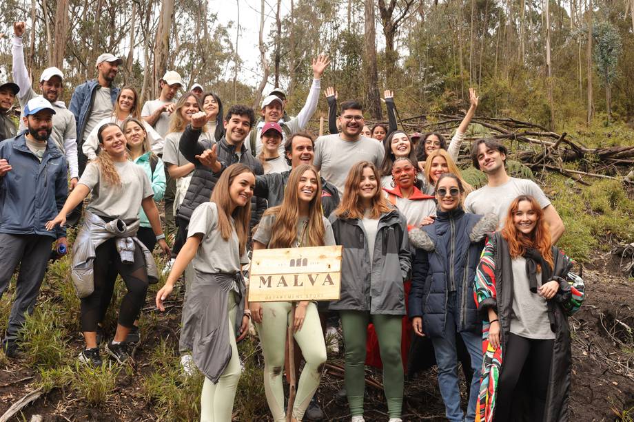 Malva lideró una acción de reforestación en los cerros orientales de Bogotá