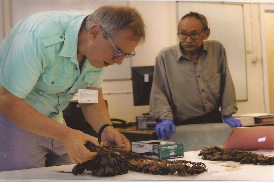 Echeverry y Enokakuiodo identificando plantas en el laboratorio de la UNAL sede Amazonia.