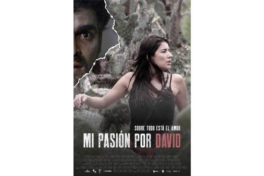 "Mi pasión por David", película dirigida por Iván Zuluaga Gómez, narra la historia de una pareja cuya relación es afectada por la guerra, las drogas, la religión, entre otros factores más. La cinta fue galardonada como mejor película nacional en el Festival de Cine de Bogotá.