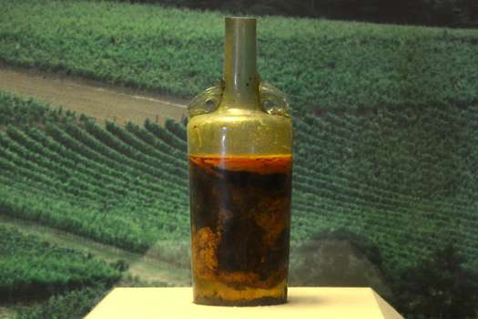 La botella de vino está en el Museo Histórico del Palatinado en Speyer, en Alemania.