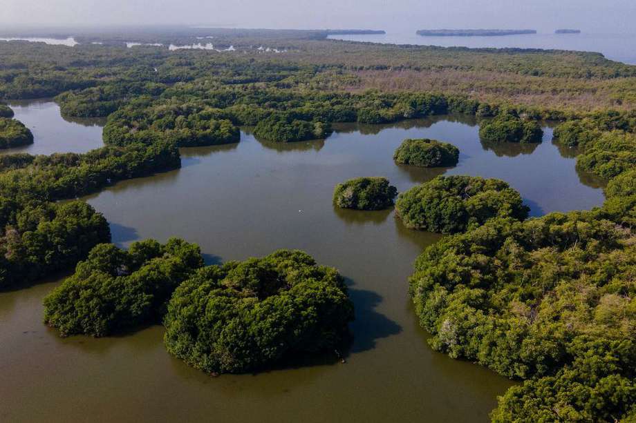 La Ciénaga Grande de Santa Marta fue el primer sitio Ramsar de Colombia, designado bajo esta categoría en 1998.