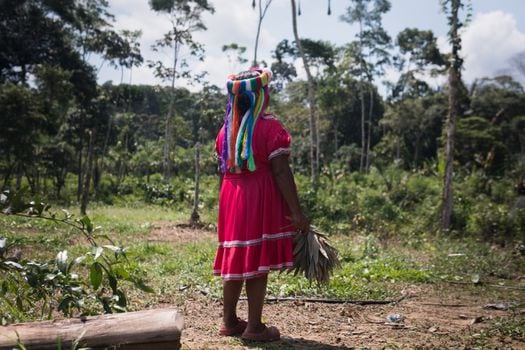 La única jaibana (médico tradicional) mujer del pueblo Emberá Chamí, en el departamento Putumayo.