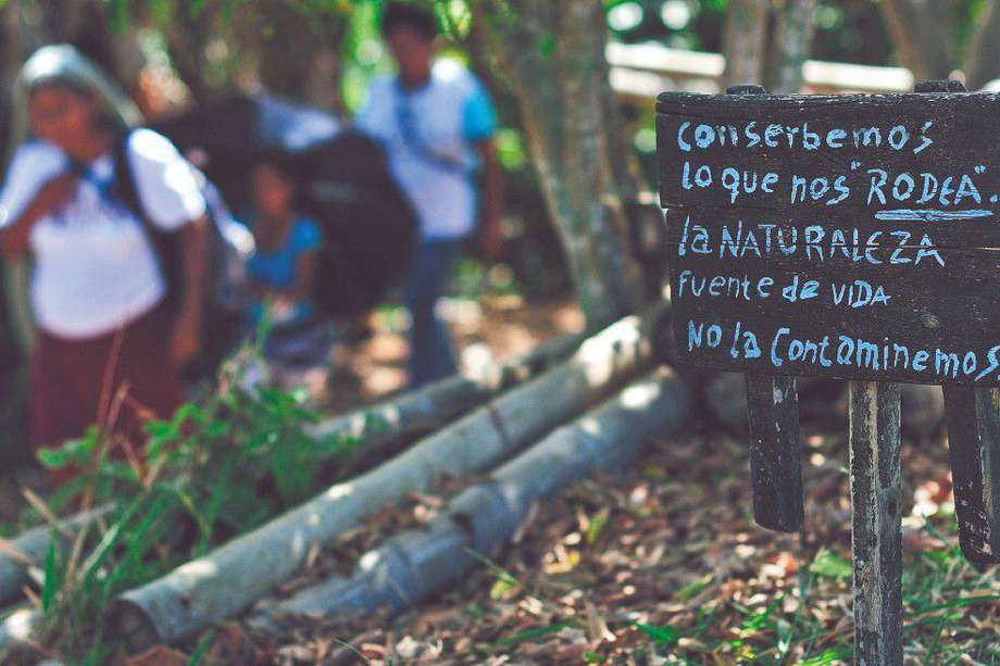 La organización WWF califica los aportes de los indígenas a Colombia como invaluables.