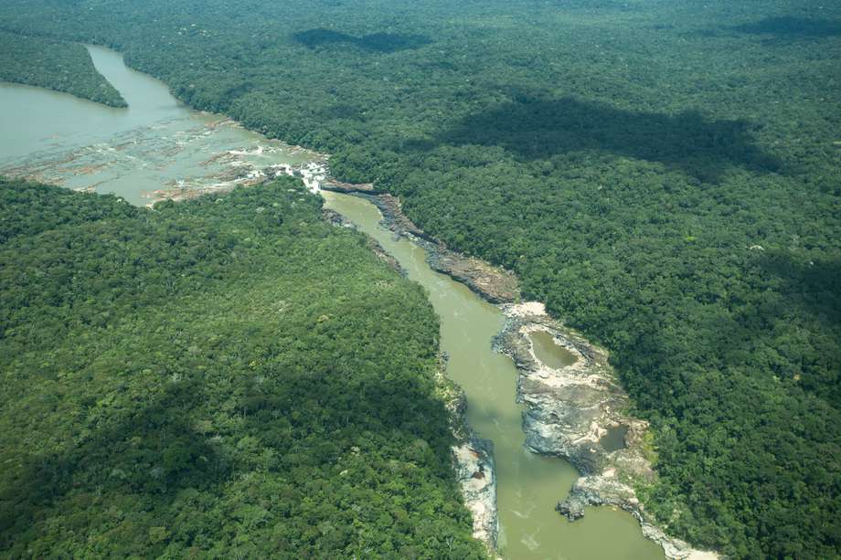 El fenómeno de los ríos voladores no se produce en las sabanas. Necesita de toda la flora y de toda la fauna para existir, por eso lo sucede en la Amazonía.