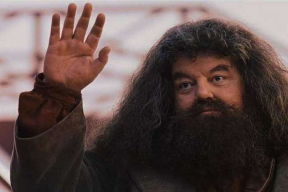 Robbie Coltrane había interpretado a Hagrid, el semigigante amigo de Harry Potter, desde el estreno de su primera película en 2001.