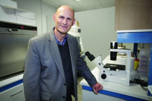 Juan Carlos Izpisua Belmonte, investigador español en el Laboratorio de Expresión Génica del Instituto Salk. / UCAM