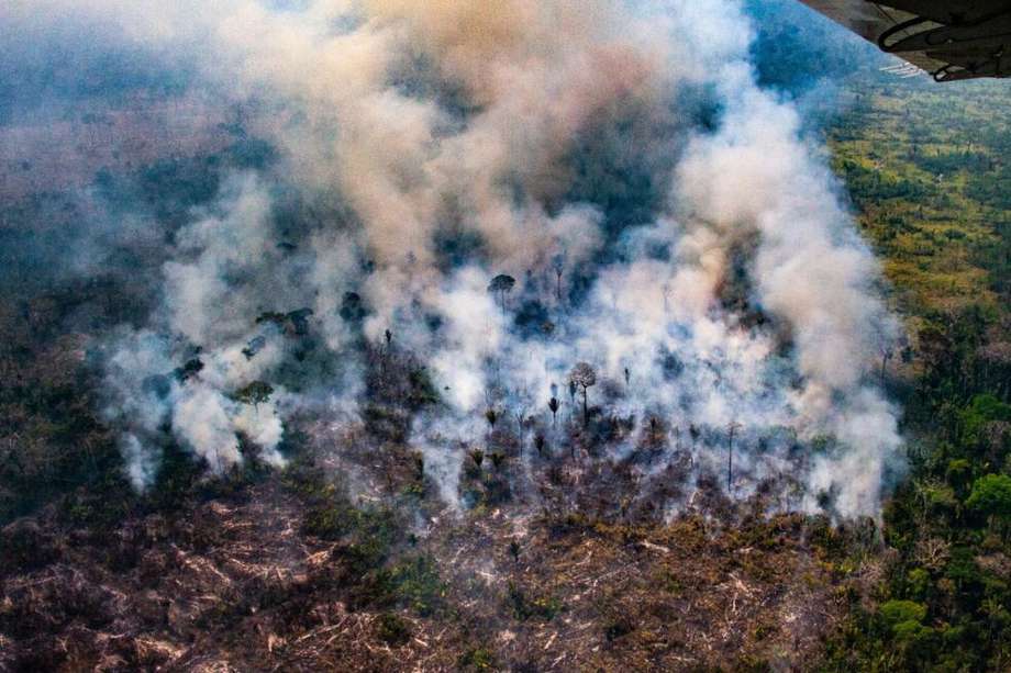 Incendio a gran escala en el sur de Amazonas registrado en área de bosque público.