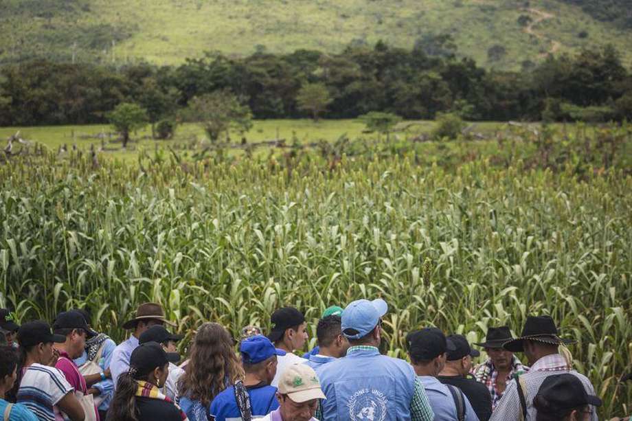 El proceso de reconciliación con la comunidad fue interrumpido por las amenazas de desconocidos a los excombatientes de las Farc.