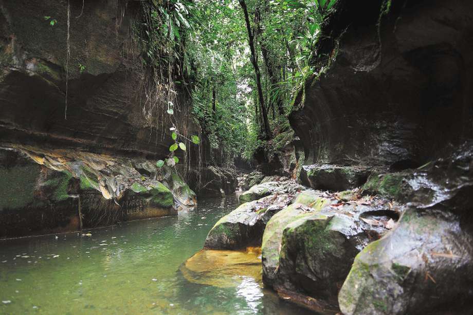 La Fundación Afrocaq, el Observatorio Ambiental y de Paz de Caquetá y la ONG Amazona presentaron tres tutelas para salvar los ríos más importantes de ese departamento: el Caguán, el Pescado y el Caquetá. 