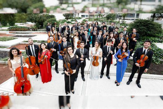 La orquesta está conformada por 40 jóvenes. / Orquesta Filarmónica de Bogotá