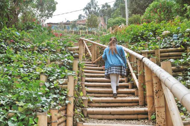 Ecobarrios en Bogotá, una apuesta por el equilibrio de los cerros