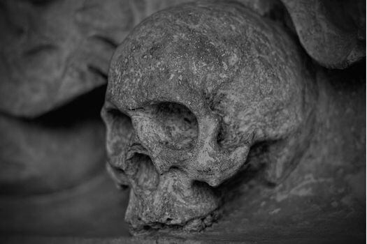 Las marcas en los cráneos fueron hechas poco después de la muerte y posiblemente servían para pasar cuerdas para sostener las mandíbulas. / Pixabay