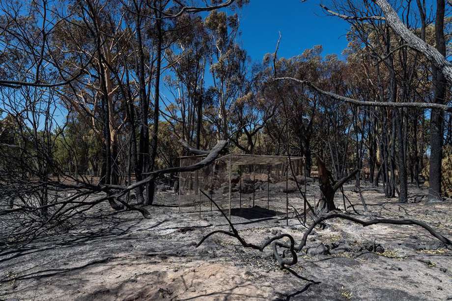 El incendio comenzó el lunes y desde entonces las llamas ya han calcinado 81 viviendas y más de 10.000 hectáreas de terreno.