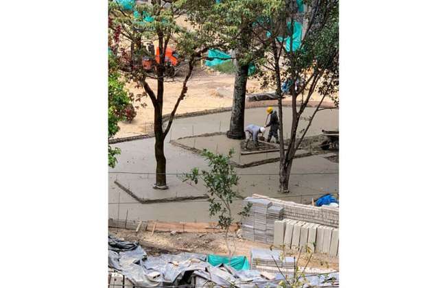 Polémica por cemento en bases de árboles del parque Japón, oriente de Bogotá