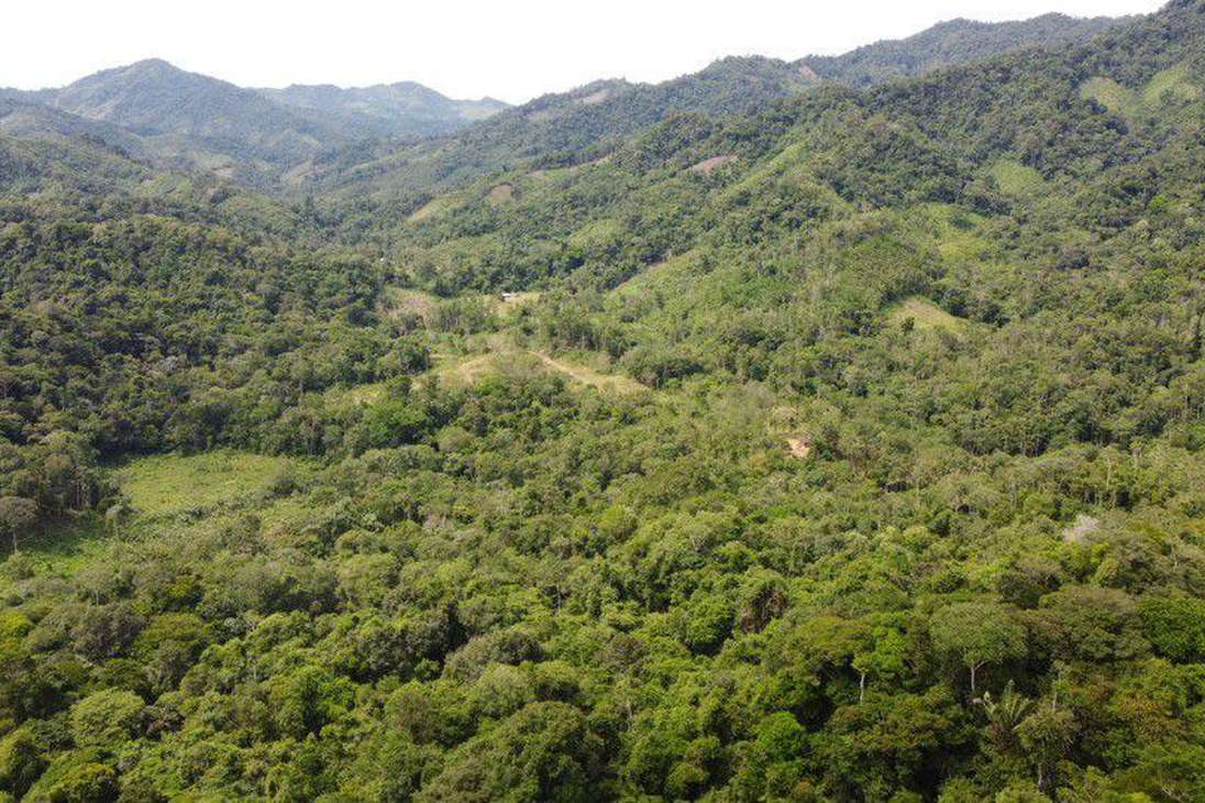 Las imágenes muestran puntos deforestados al interior del Parque Nacional Natural Paramillo, en los departamentos de Córdoba y Antioquia.