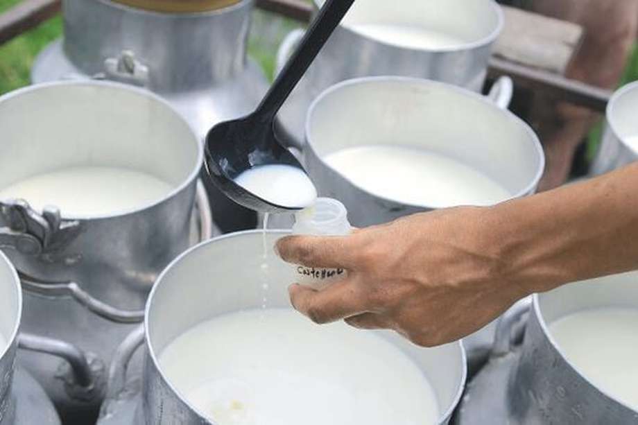 En Cundinamarca y Bogotá se han dejado de comercializar 84,6 millones de litros de leche, lo que representa pérdidas por más de $87.000 millones, según el informe del gremio. / Gabriel Aponte