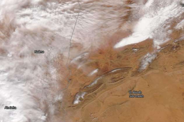 La nieve cubrió parte del desierto del Sahara