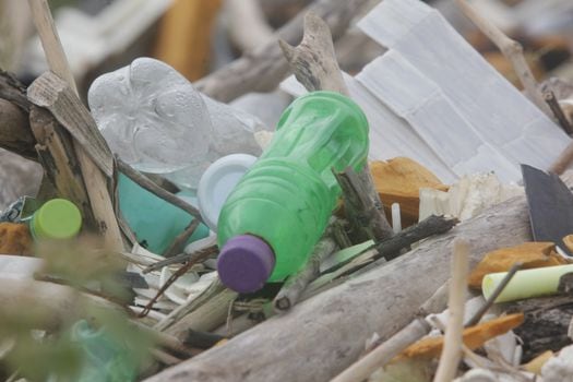 Para 2040 la contaminación por plástico podría alcanzar los 80 millones de toneladas métricas al año.EFE/ Carlos Lemos
