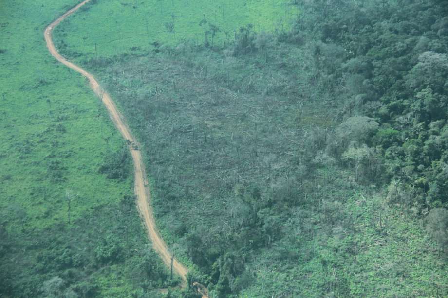 Imagen aérea de una de las trochas donde se está deforestando en el Amazonas. / Cortesía