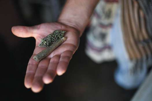 El proyecto plantea subsidios en las licencias de producción de cannabis a personas afectadas por el conflicto.