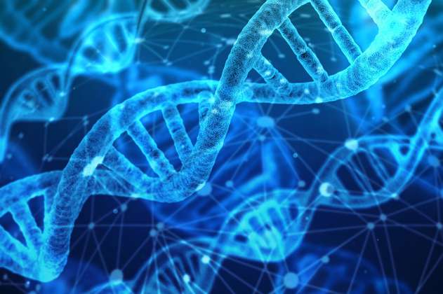 ADN en las células, el "Descubrimiento del Año" en 2018 para la revista Science