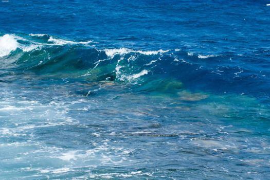 Los resultados de la investigación muestran que hay regiones en los océanos Pacífico, Atlántico e Índico que son particularmente vulnerables.  / Pixabay