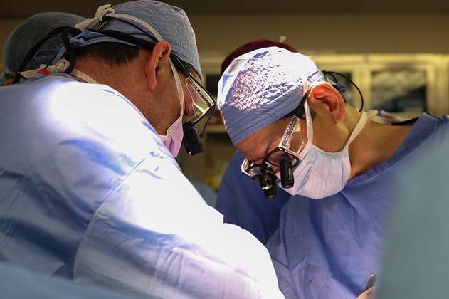 Por primera vez logran el trasplante exitoso de un riñón de cerdo a un paciente vivo
