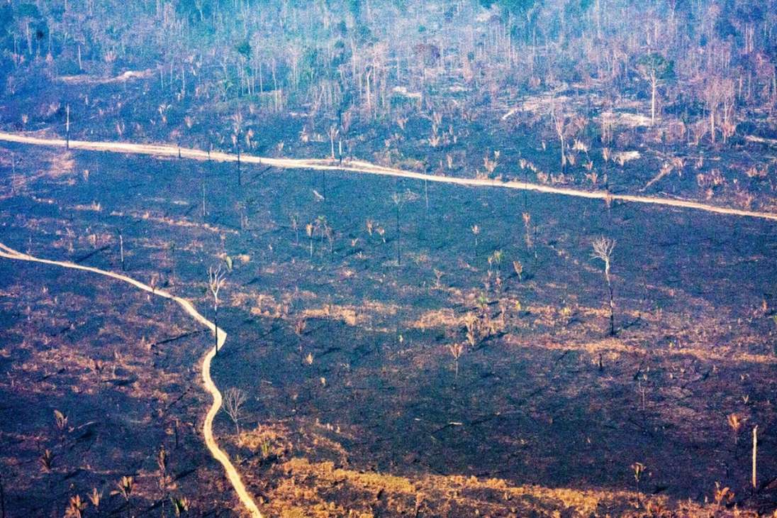Área quemada en el sur de Amazonas en un área de bosque público.