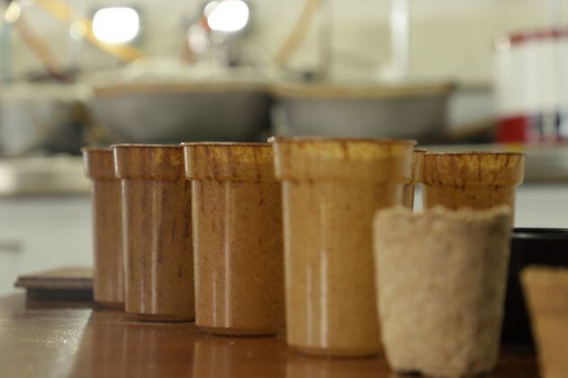 Crean un vaso biodegradable con residuos de café en Medellín