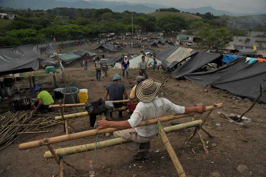 Según la Dignidad Cafetera, cerca de 60.000 caficultores saldrán a marchar desde hoy en regiones como Antioquia, Cauca y Nariño. / Andrés Torres