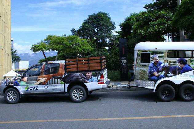 Medellín inaugura una ambulancia para animales en peligro y sin dueño