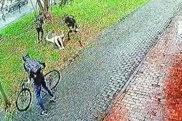 Video: ¡Indignante! Cámara de seguridad captó robo a un biciusuario en Bogotá