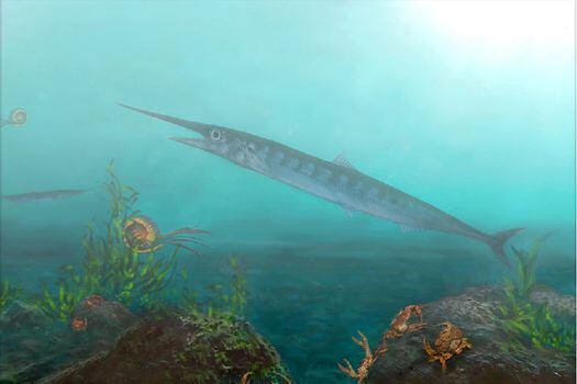 Es el primer fósil 'pez lagarto' del período Cretácico que se haya encontrado en Colombia.  / Universidad de Alberta