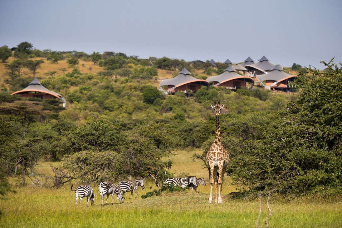 Mahali Mzuri, propiedad del empresario británico Sir Richard Branson ubicado en el famoso parque Maasai Mara, en Kenia, fue elegido como el Mejor Hotel y Mejor Safari Lodge del mundo en la edición 2021 de Travel + Leisure's World Best Awards.