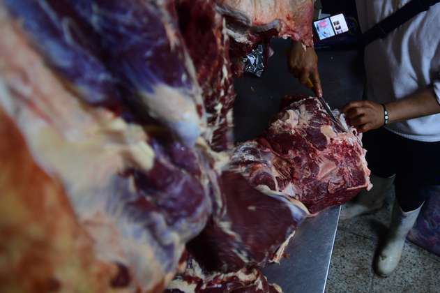 ¿Carne de caballo en PAE de la Ceja (Antioquia)? Procuraduría investiga