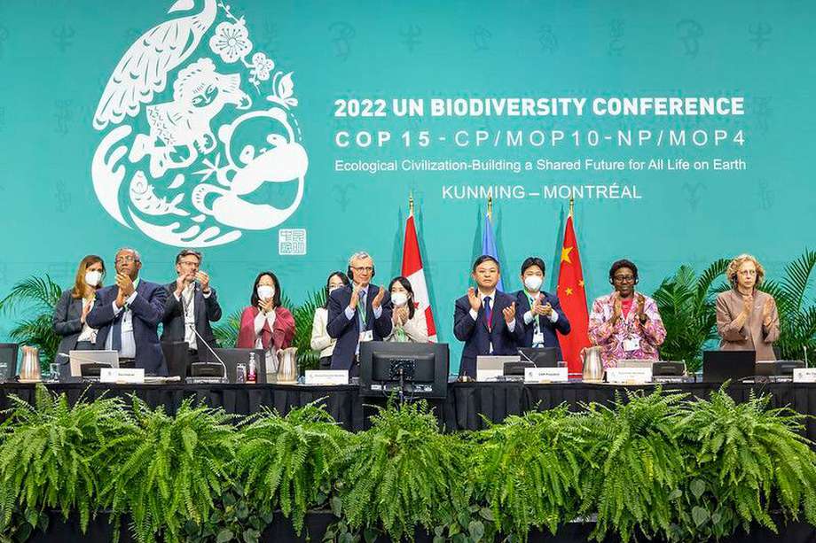 Se acordó movilizar 2030 al menos 200.000 millones de dólares anuales en financiación nacional e internacional relacionada con la biodiversidad de fuentes públicas y privadas.