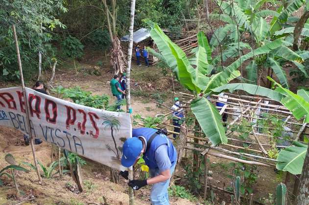 Alcaldía de Bucaramanga recuperó 17 hectáreas de una zona de protección ambiental invadida