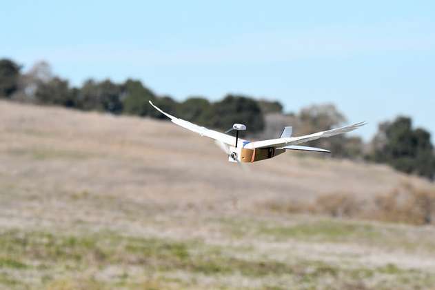 El robot que logró doblar las alas como un pájaro y podría revolucionar la aviación