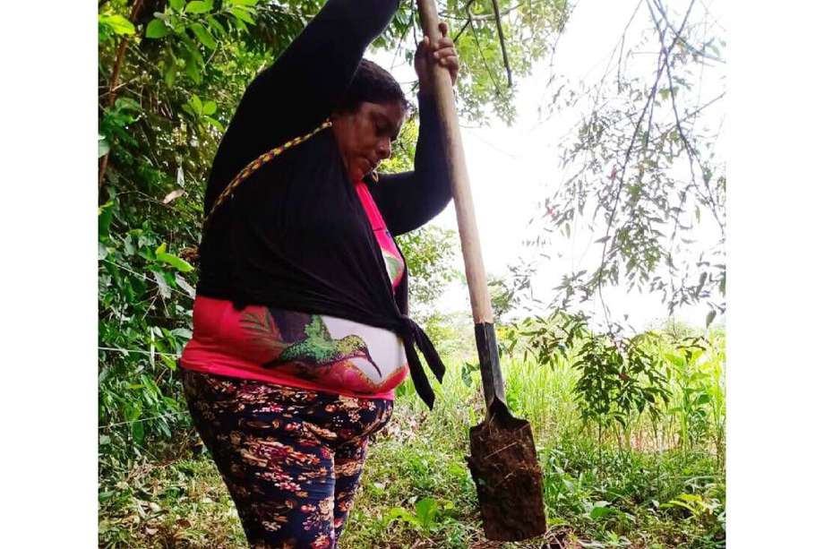 Las mujeres podrán ejercer labores de jardinería, mantenimiento de huertas, entre otras.