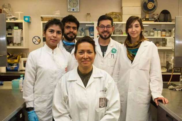 Eliminan el virus del papiloma humano en México