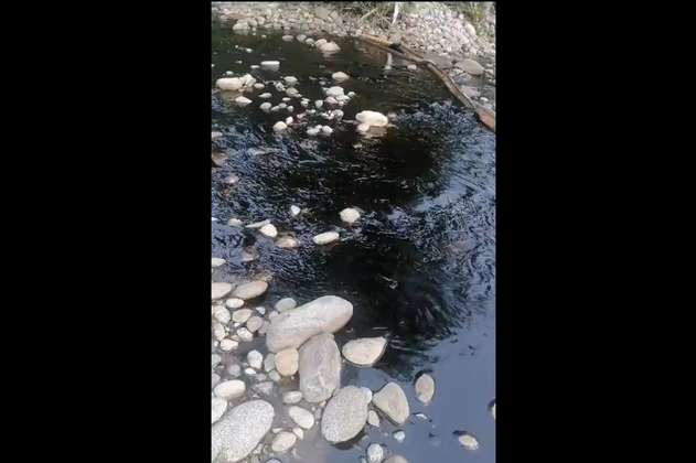 Alerta por derrame de petróleo en el río Mocoa y Caquetá en medio de paro armado