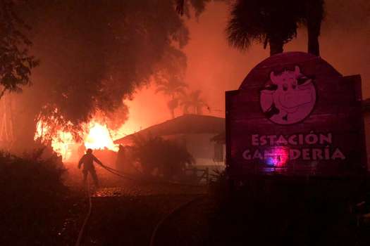 Ningún animal resultó afectado tras el incendio, de acuerdo con el Parque Panaca.