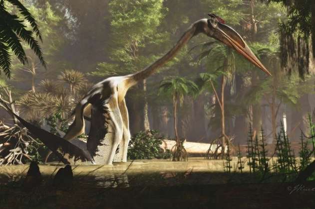 Quetzalcoatlus, el mayor ser volador que vivió en la Tierra