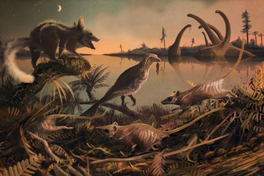 Una reproducción de los primeros mamíferos en la línea de los seres humanos.  / Tomado del Twitter del paleontólogo e ilustrador Dr. Mark Witton. 