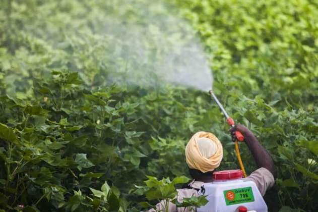Unas 710 toneladas de pesticidas agrícolas se filtran a aguas del mundo al año