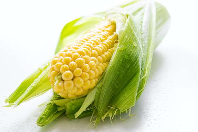Almidón de maíz: una opción biodegradable para recoger los desechos de su mascota
