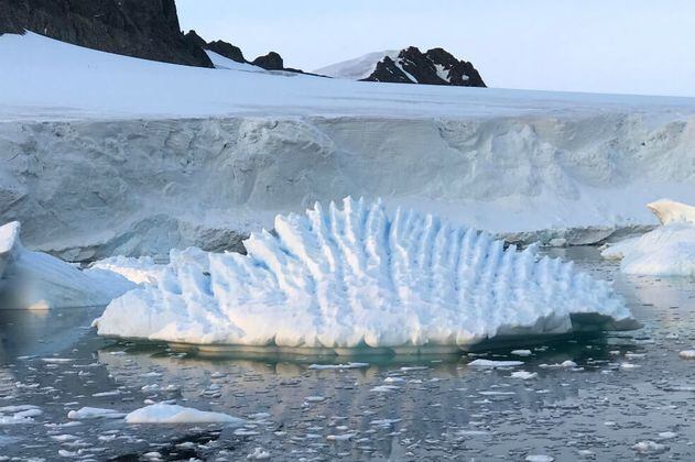 La reducción de oxígeno en el océano pone en riesgo la supervivencia de las especies antárticas
